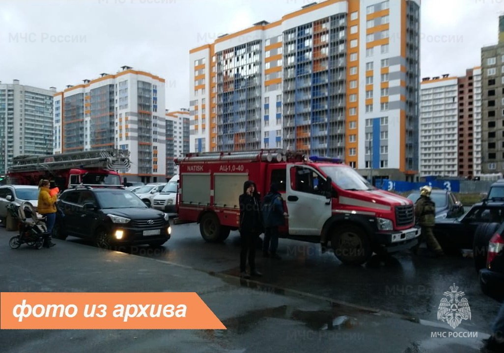 Пожарно-спасательное подразделение Ленинградской области ликвидировало пожар в Тосненском районе