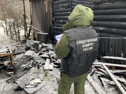 В Тосненском районе возбуждено уголовное дело по факту обнаружения тела малолетней после пожара