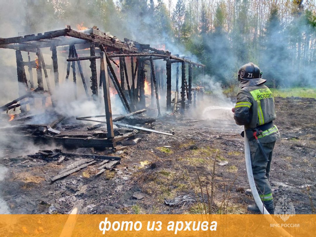 Пожарно-спасательные подразделения Ленинградской области ликвидировали пожар в Тосненском районе